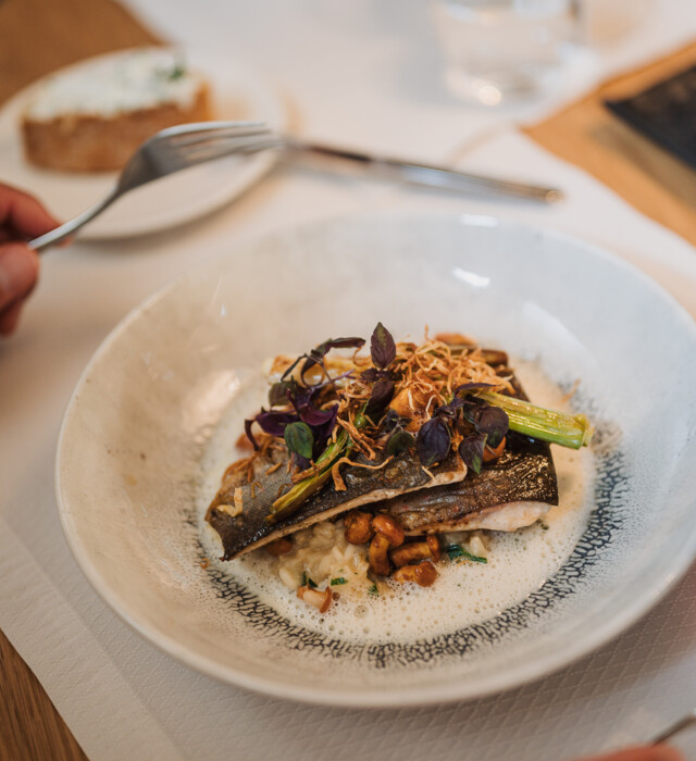 Food served on a plate. Fish with vegetables