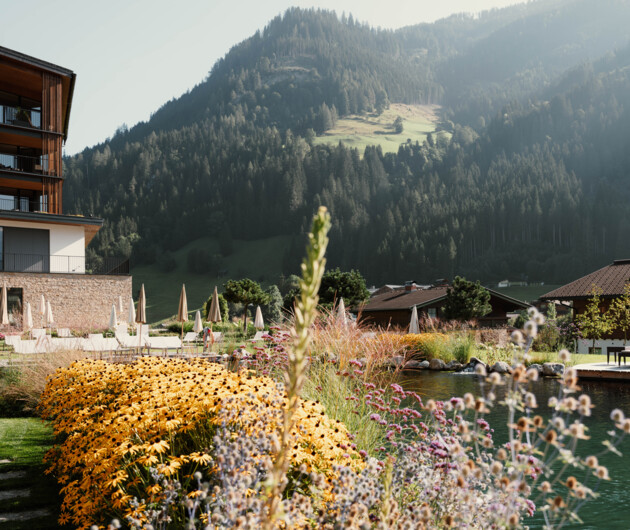 Herbstliche Blumen am Naturbadeteich mit Hotel im Hintergrund