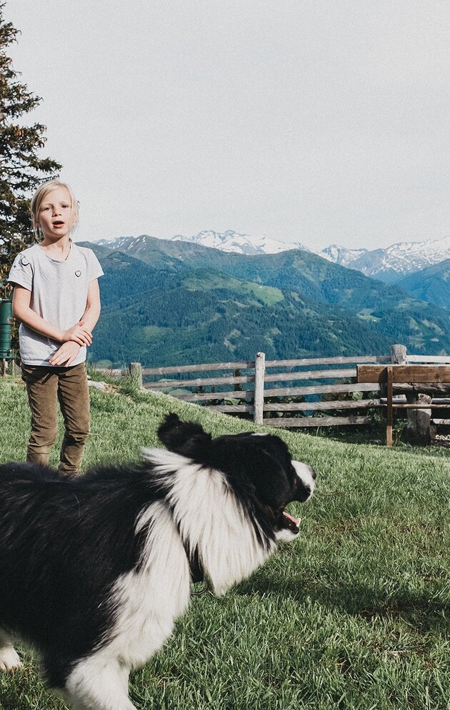 Kinder spielen auf einer Alm mit einem Hund.