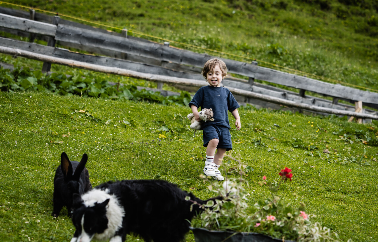 Kleiner Bub beobachtet einen Hund beim Spielen auf der Wiese