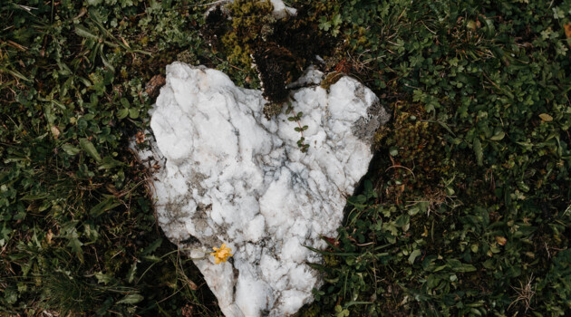 Stone heart in the grass