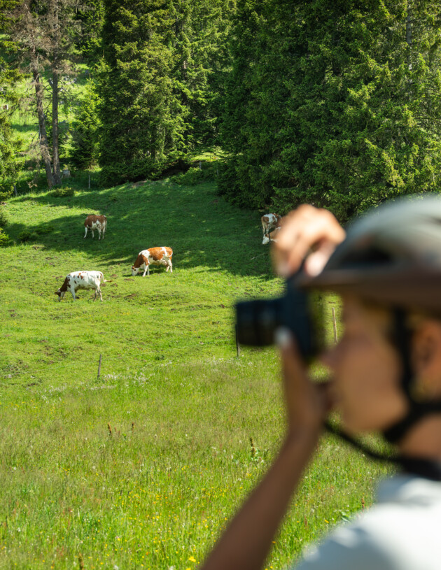 Dame hat Kamera in der hat und fotografiert die Almweide
